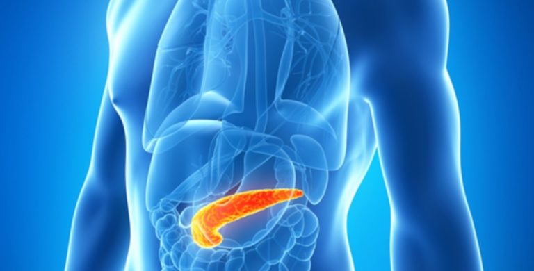 Tumore Al Pancreas Come Si Muore