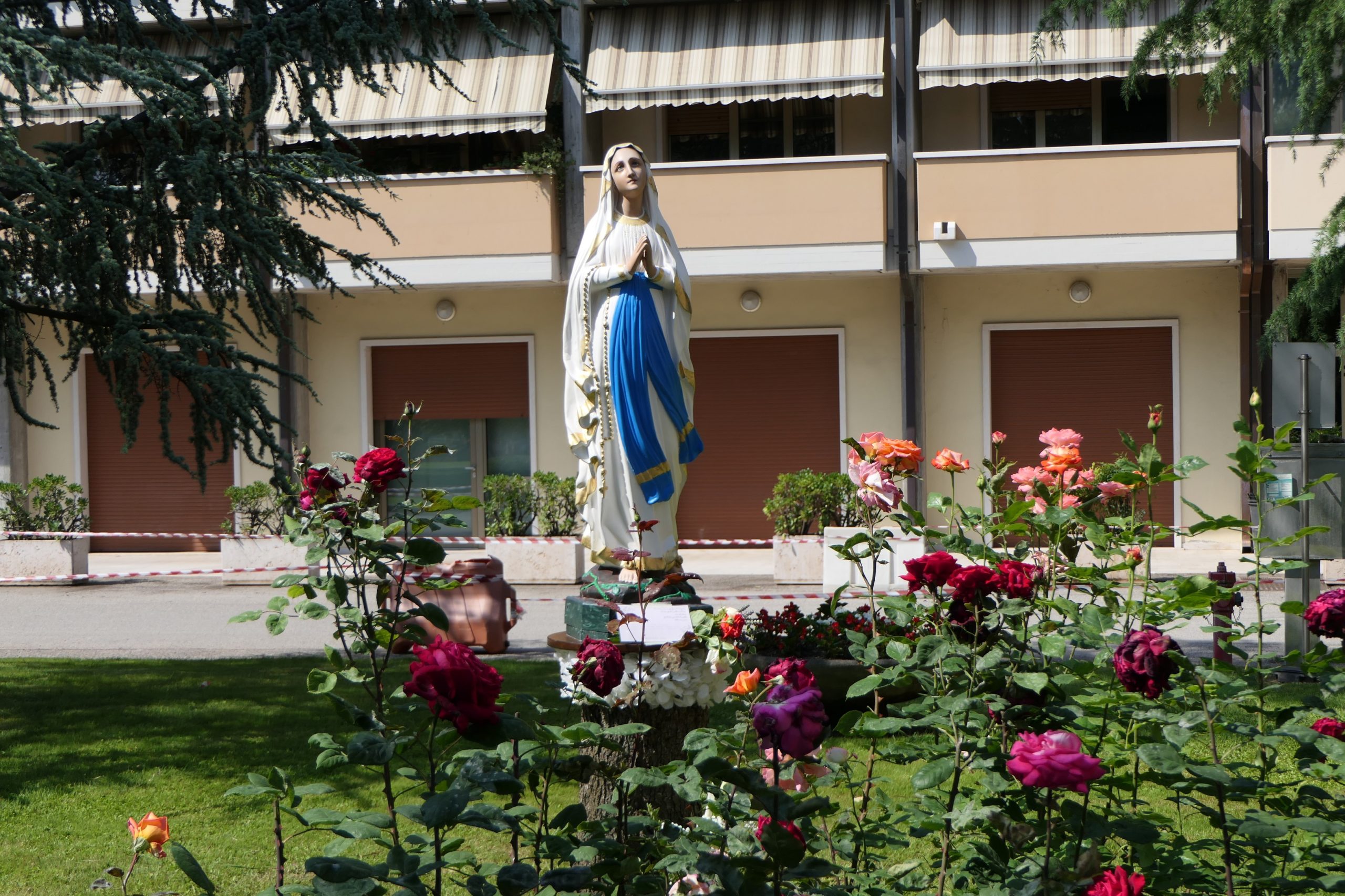Una Madonnina tra le rose del giardino di Casa Perez - IRCCS Ospedale